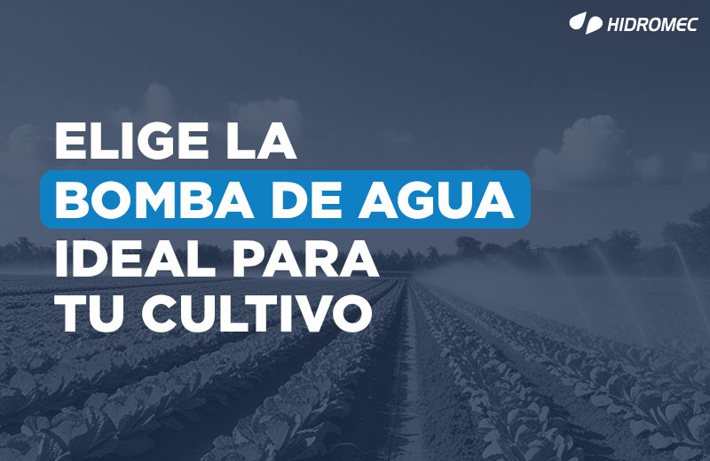 Sistema bomba de agua ideal para tu cultivo.